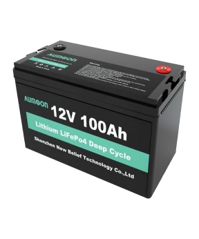 Купить Акумулятор LUMOON  LiFePO4 12V-100Ah (BMS 100A)  для ДБЖ