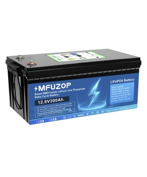 Купить Акумулятор MFUZOP LiFePO4 12,8V-300Ah 3,84 КВт)  BMS  для ДБЖ