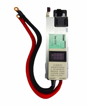 Купить Зарядний пристрій для акумулятора LiFePO4  12V100A