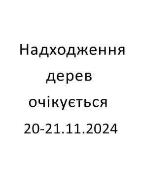 Купить Дерево КВІТКИ  30cm  24л, білий